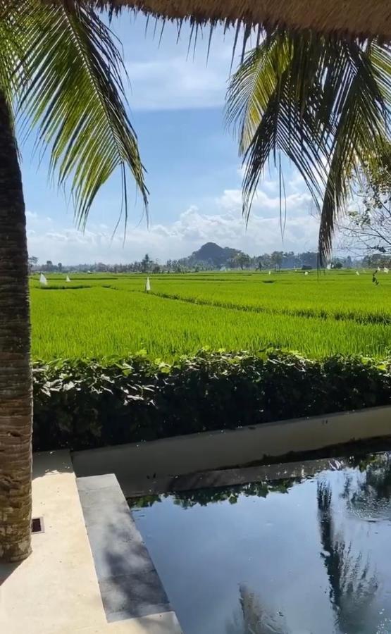 Villa Crescent Moon Ubud Exterior foto